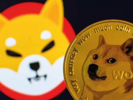 Shiba Inu podría ganar un 40% frente a Dogecoin