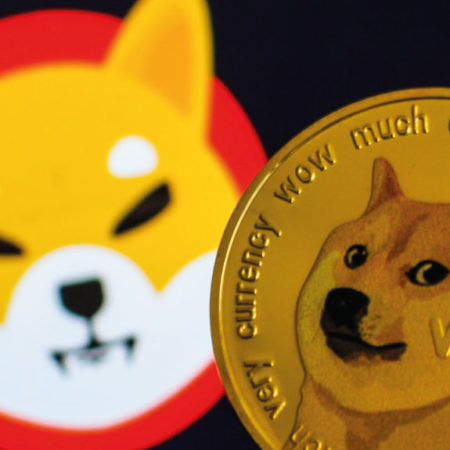 Shiba Inu podría ganar un 40% frente a Dogecoin