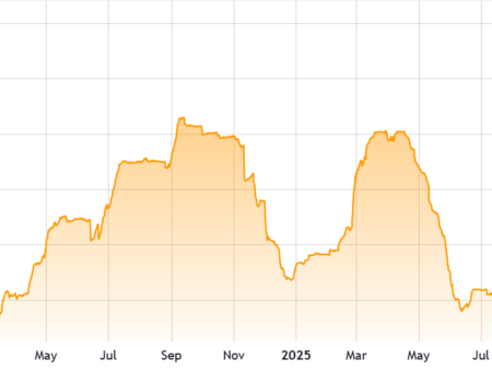 Posiciones largas de BTC en Bitfinex alcanzan su máximo en 2 años: ¿Repunte a 100.000 dólares posible?