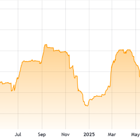 Posiciones largas de BTC en Bitfinex alcanzan su máximo en 2 años: ¿Repunte a 100.000 dólares posible?