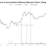 Las ballenas de Bitcoin dominaban durante la caída del mercado