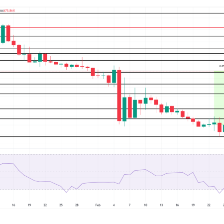El crecimiento de las memecoins en marzo